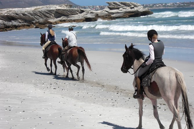 Beach Ride - Stanford - Miscellaneous Information