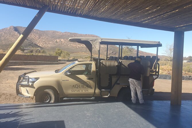 Big 5 Safari Aquila Full Day Private Return From Cape Town - Common Questions