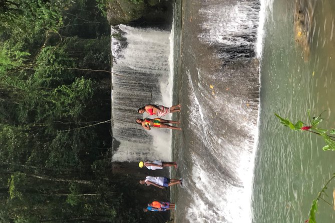 Black River Safari, YS Falls and Appleton Estate - Flexible Cancellation Policy