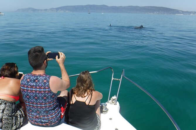 Boat Trip for Dolphin Watching Along the Arrabida Coast and Sesimbra - Directions