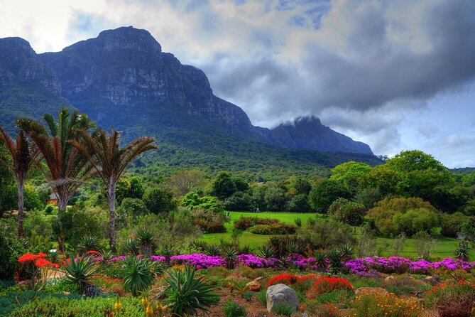 Cape Town City Sightseeing Tour - Highlights