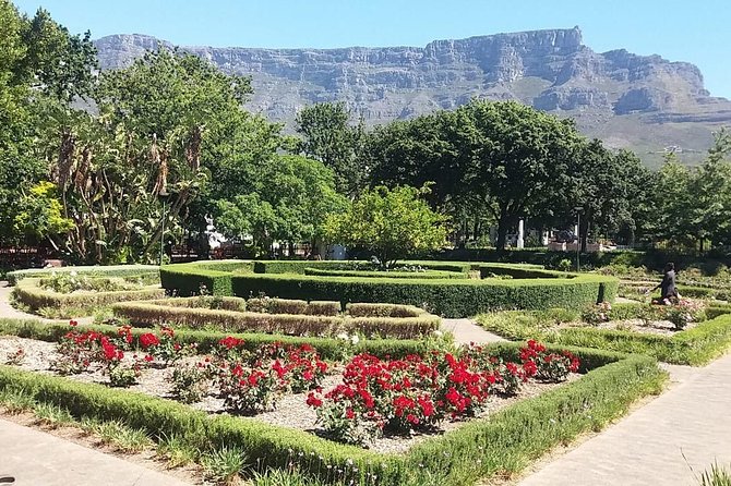 Cape Town City Tour Camps Bay Beach Plus Table Mountain Ticket - The Sum Up