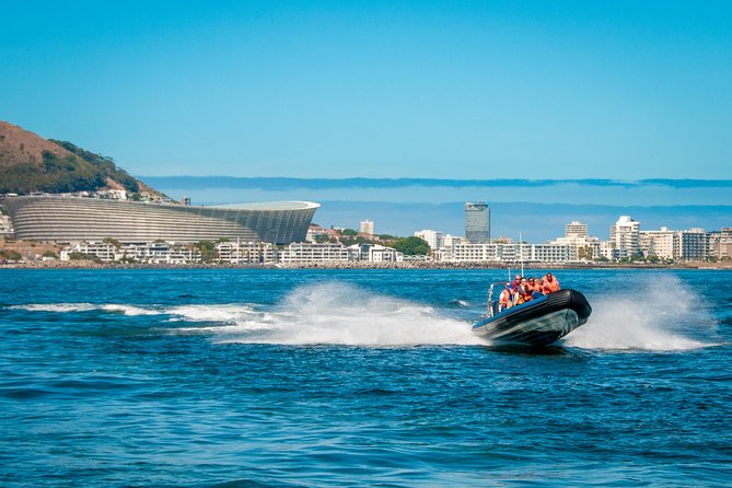 Cape Town Ocean Safari Boat Tour - The Sum Up