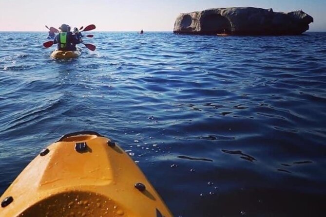 Cape Town: Sea Kayaking Near Penguins Tour - Common Questions