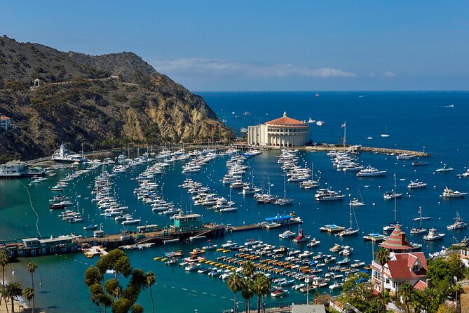 Catalina Island Day Trip From Anaheim Hotels With Discover Avalon Tour - Directions