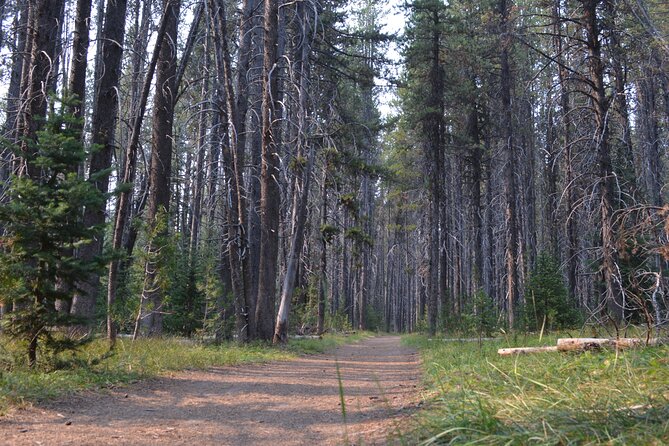 Classic Yellowstone Hike to the Shores of Lake Shoshone (Private up to 8 People) - Common Questions