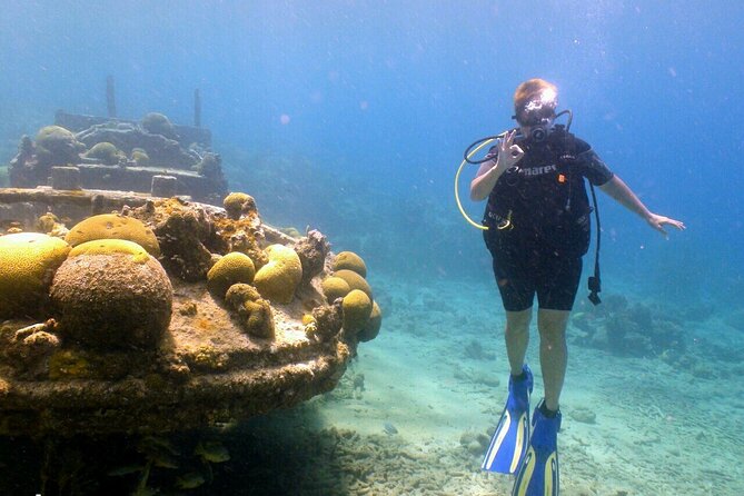 Discover Diving in Curaçao With Transportation Included - The Sum Up
