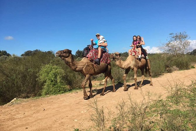 Dromedary Safari: 2 Hours - Common Questions