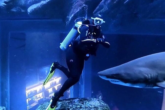Dubai Aquarium and Underwater Zoo - Common Questions