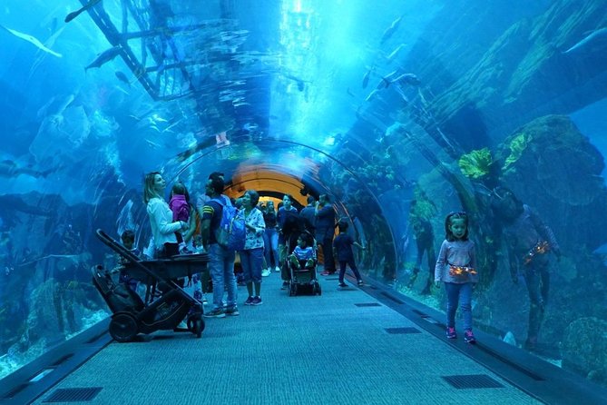Dubai Mall Aquarium &Underwater Zoo Tickets With Transfer - The Sum Up