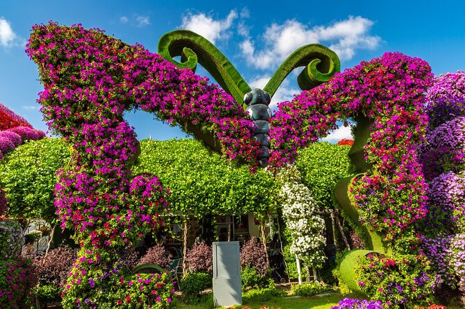 Dubai Miracle Garden and Butter Fly Garden Private Tour - Common Questions