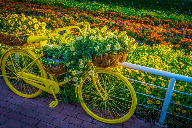 Dubai Miracle Garden and Glow Garden Tour With Pickup - Booking and Reservation Process