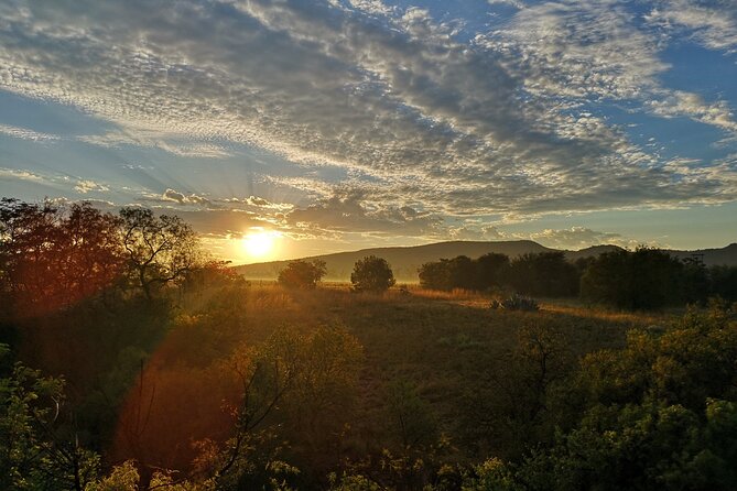 Early Morning Balloon Safari With Breakfast From Magaliesburg - The Sum Up
