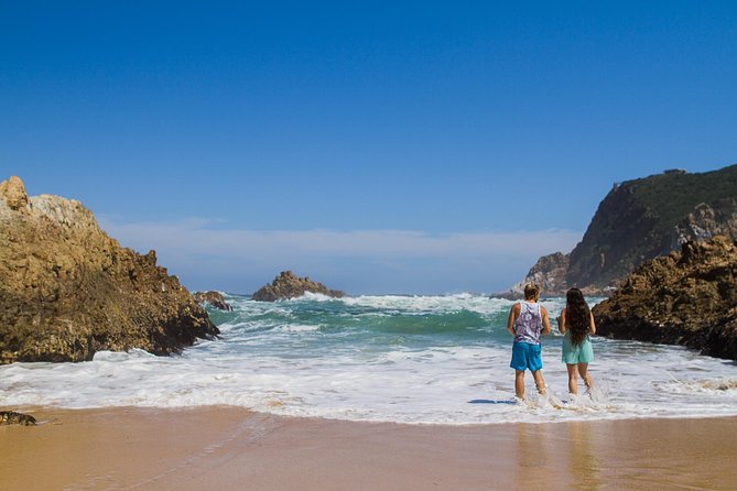 Explore the Garden Route From Cape Town - 4 Days - Activities and Attractions Along the Route