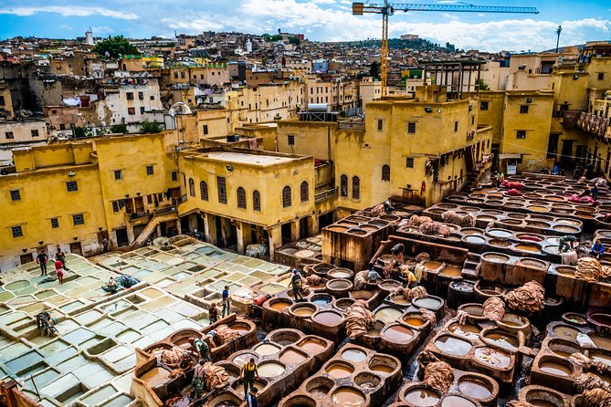 Fantastic Fes Medina Private Guided Walking Tour - The Sum Up