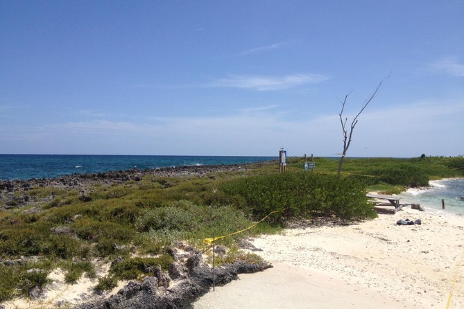 Freeport Snorkeling Peterson Cay National Park and Hotel Day Pass - The Sum Up