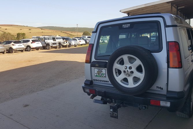 Full Day Big 5 Addo Elephant Park and Schotia Combo Package - Review Example
