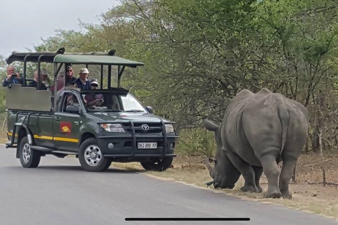 Full Day Kruger National Park Game Drive - The Sum Up