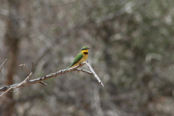 Full Day Kruger National Park - The Sum Up