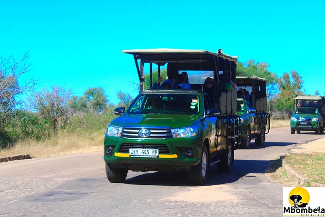 Full-Day Kruger Park Safari From Nelspruit, Whiteriver or Hazyview - The Sum Up