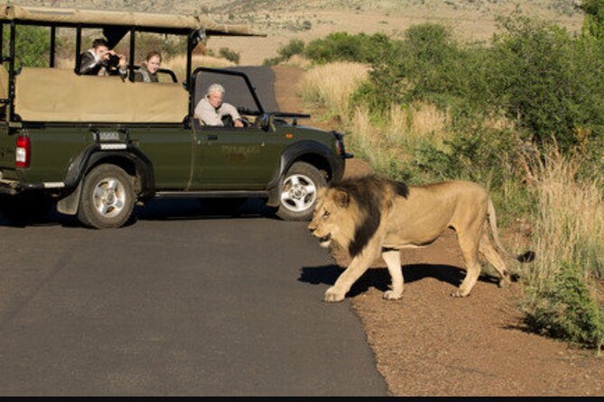 Full Day Safari Tour of Pilanesberg National Park, Open Jeep Experience - Help and Support Available Through Viator Help Center