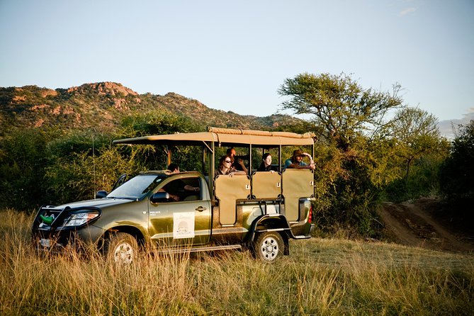 Full Day Ultimate Pilanesberg National Park Safari From Johannesburg or Pretoria - Traveler Photos and Reviews