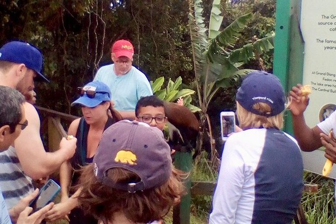 Grand Anse Small-Group Grenada Nature Tour - Reviews
