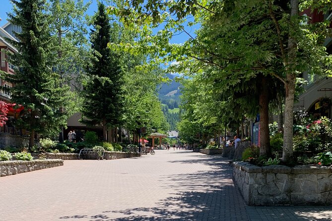 Guided Bike /E-bike Tour in Whistler From Vancouver - Pricing and Terms