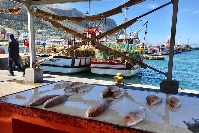 Guided Day Tour to Cape Point, Penguins and Wine Tasting - Up-Close Encounter With Penguins