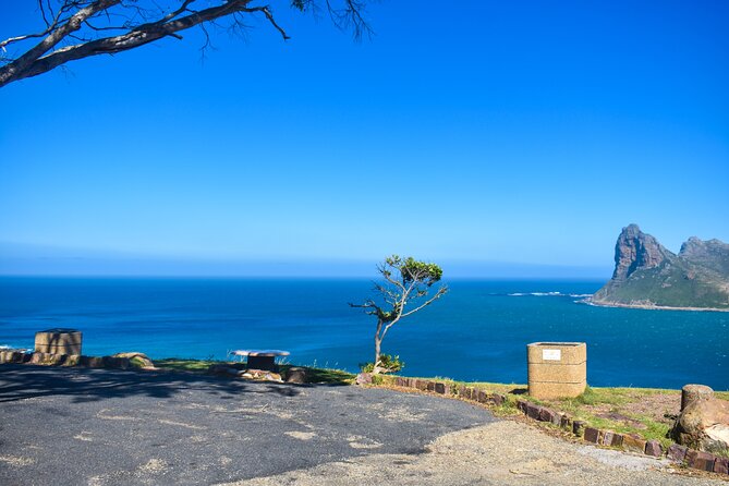 Half-Day Penguins and Coastal Sights From Cape Town - Common Questions