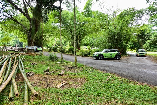 Half-Day Self Driven MINI Cooper Tour From Montego Bay - Relaxing Bamboo Rafting on Martha Brae River