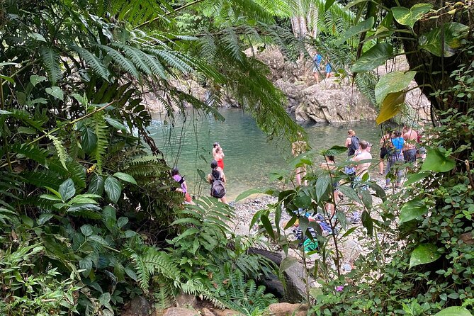 Half-Day Small-Group River Experience in El Yunque With Local - Common Questions