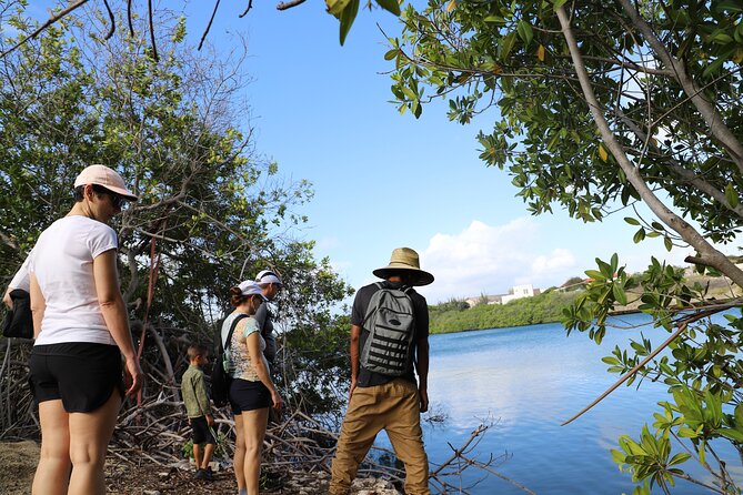 Half-Day Spanish Lagoon Mangrove Trail With Private Guide - The Sum Up
