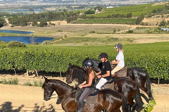 Half Day – Wine Tasting Horse Trail - Unique Selling Points