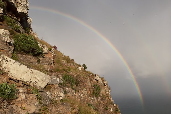 Hike Lions Head Sunrise Morning Tour - The Sum Up