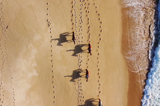 Horse Riding on Melides Beach - Common Questions