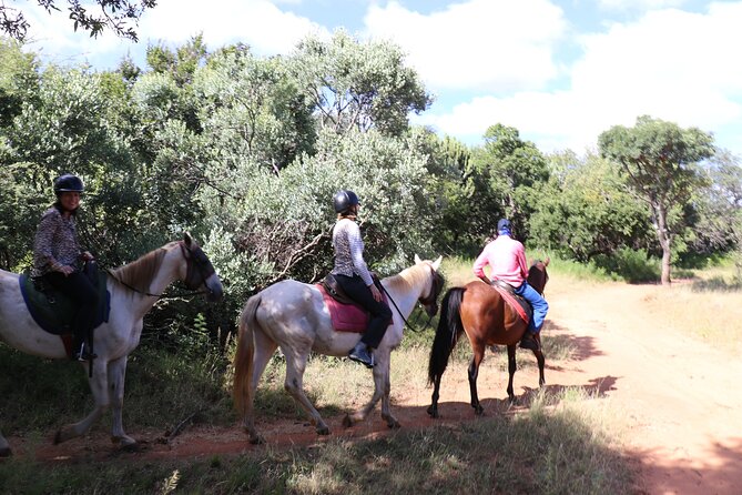 Horseback Safari Adventure in Hartbeespoort From Johannesburg - Other Activities and Attractions in Hartbeespoort