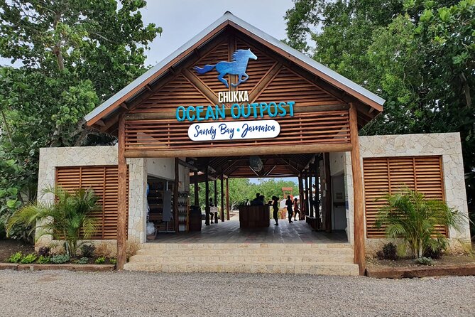 Horseback Swimming Excursion  - Jamaica - The Sum Up