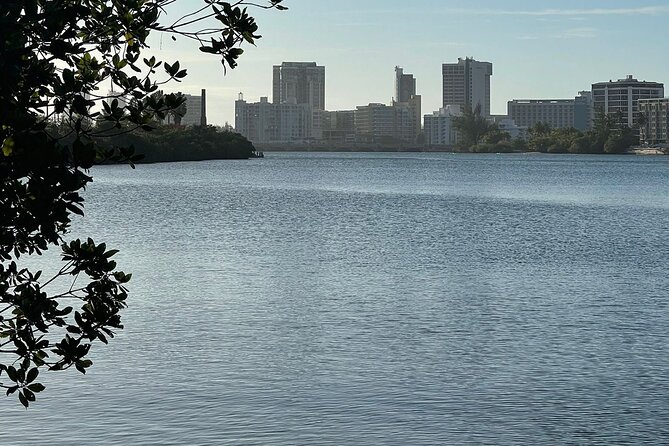 Insiders View of Local San Juan Walking Tour - Common Questions