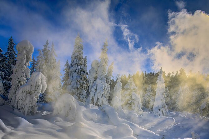 Jackson 4-Day and 3-Night Grand Teton and Yellowstone Winter Tour - The Sum Up