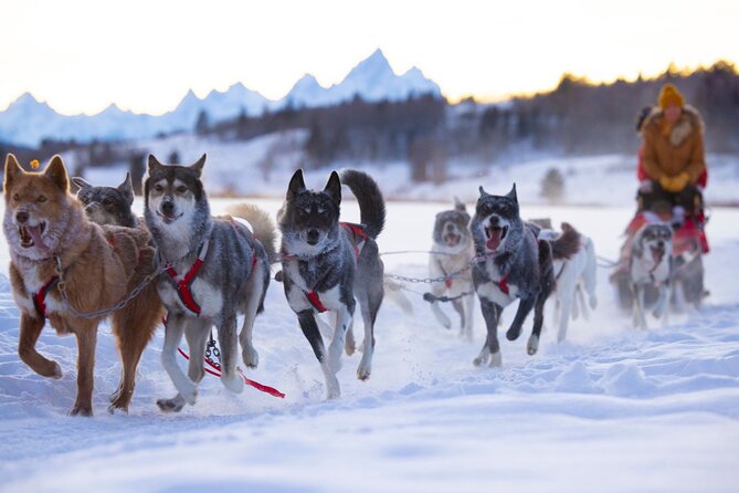 Jackson Hole Half-Day Small-Group Dogsled and Snowmobile Tour - Directions