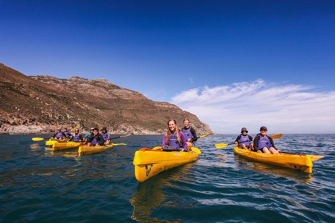 Kayak Chapmans Peak and Karbonkelberg in Hout Bay - Common Questions
