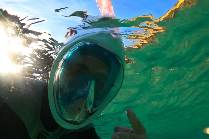 Kayak Tour Arrábida and Snorkeling on a Wild Beach - Additional Information