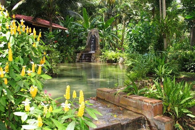Konoko Falls, Fern Gully, and Shopping Small-Group Tour  - Ocho Rios - Common Questions