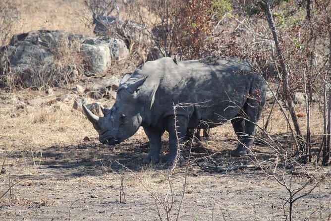 Kruger National Game Park Three Day PRIVATE Tour - The Sum Up