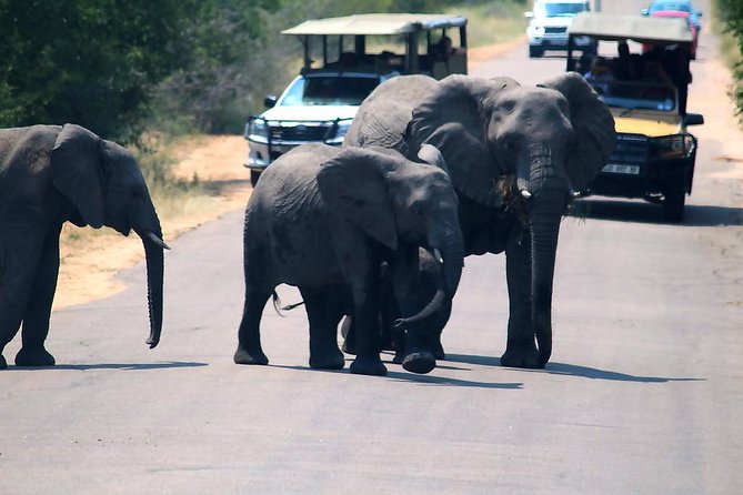 Kruger National Park. 3 Days Best Ever Safari From Cape Town - Pricing and Booking Details