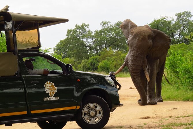 Kruger National Park Afternoon Private Safari - Pricing and Terms