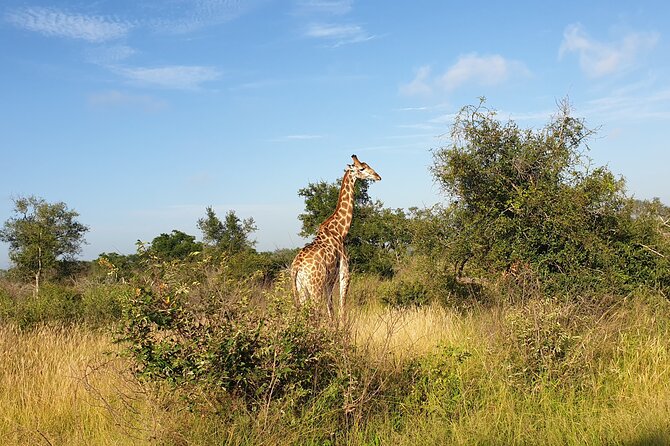Kruger National Park & Panorama Route From Johannesburg 3 Days & 2 Nights - Optional Activities and Upgrades