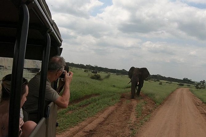 Kruger National Park Private Full-Day Safari - Private Safari Vehicle & Guide - Additional Information for Guests