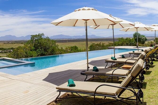 Luxury 2-Day In & Out Garden Route Safari Tour - Common Questions